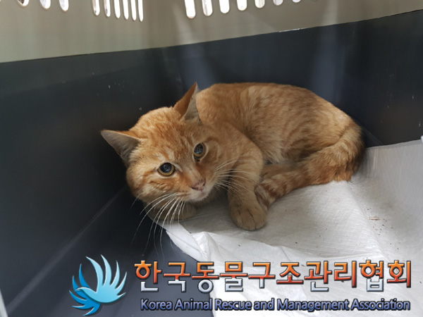 한국동물구조관리협회_441382202500031